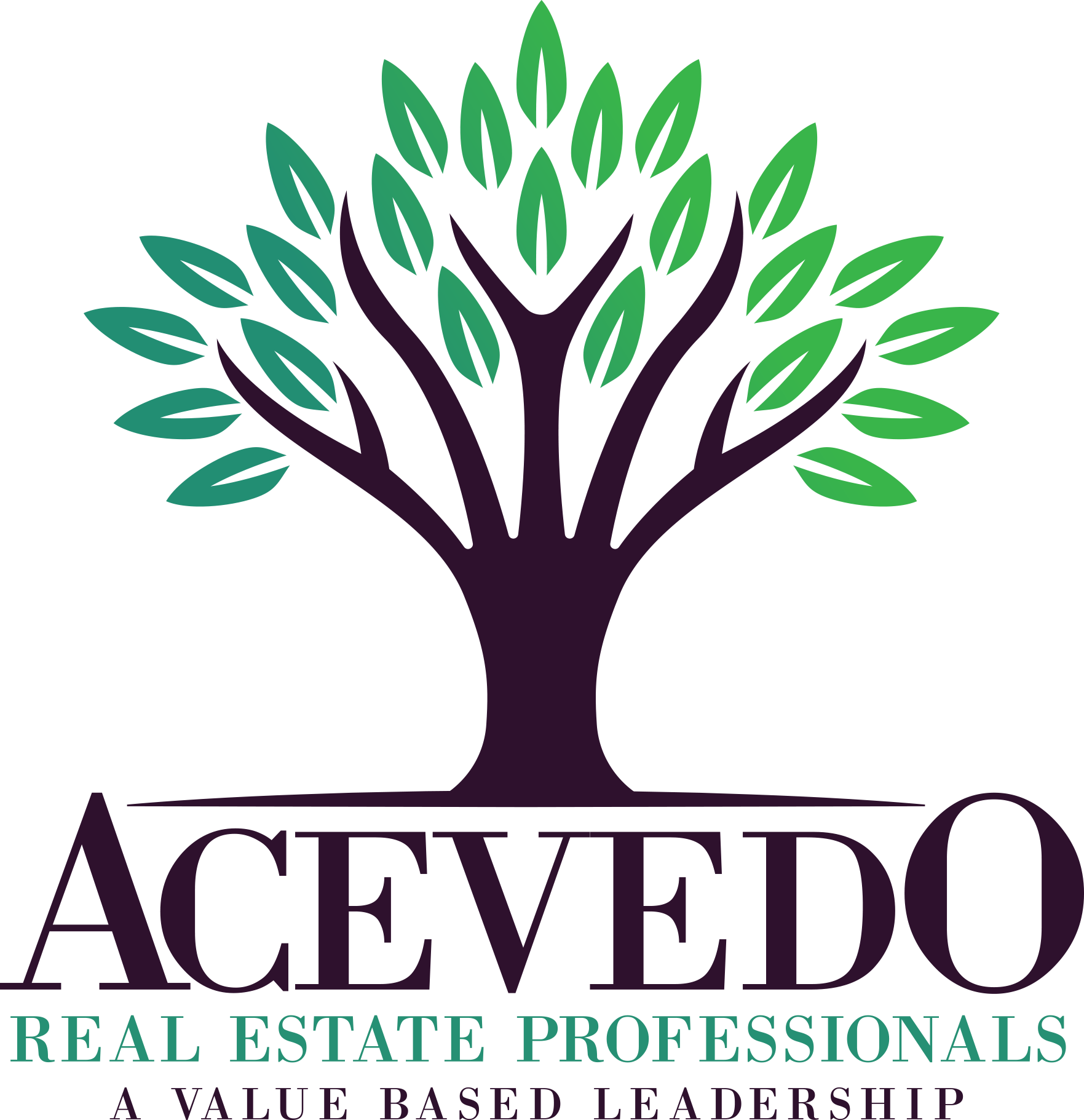The Acevedo Team